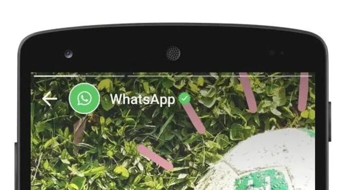 您的WhatsApp状态在最新的更新中可能会有很大的修改