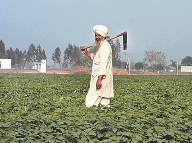 印度的作物播种因降雨不足而滞后 引发了对产量的担忧