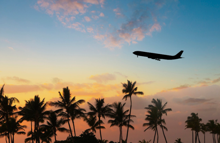 航空公司的股票今天飞得很高