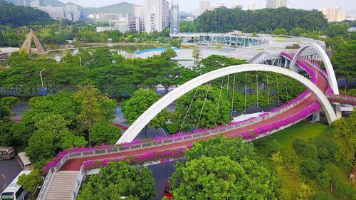 支持营商环境改革，广州黄埔将享11项省级行政职?权